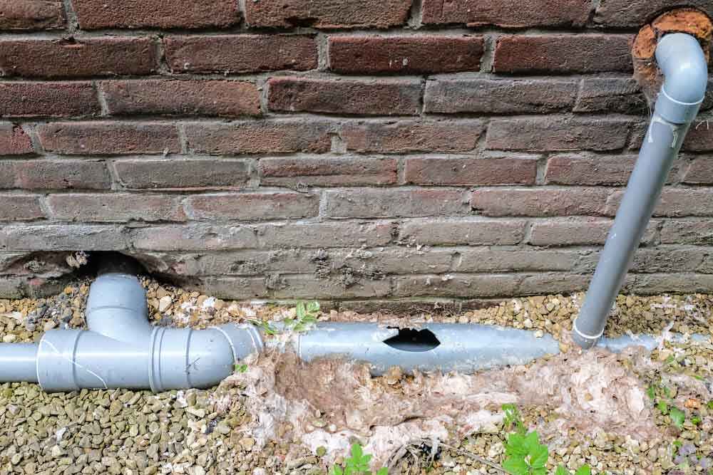 broken or cracked sewer line